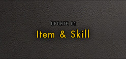Item & Skill