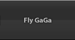 Fly Gaga