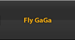 Fly Gaga